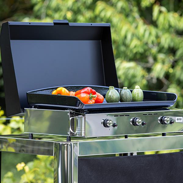 eno-556532010701-1188509-4