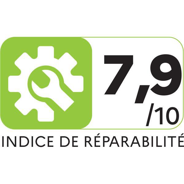 rowenta-aspirateur-a-main-extenso-cyclonic-ac4461-5621-4